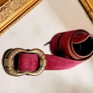 Sezane | Accessories | Nwt Sezane Gaia Belt Raspberry 8cm  display picture 2